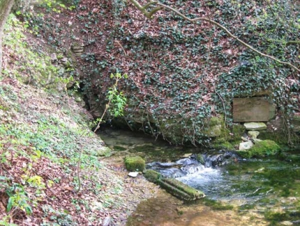 Bild 2 von Beispring - Quelle